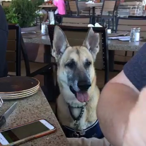 Mod Cloth Waving From The Waterfront Dress XS - Picture 8 of 8